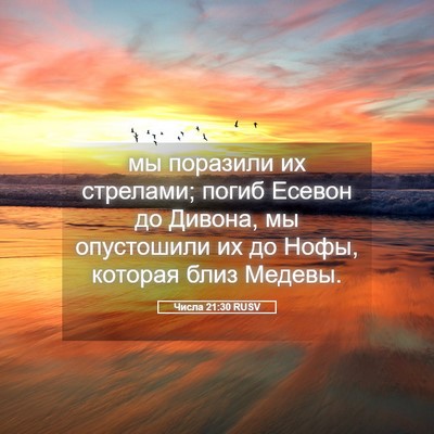 Picture 05 - Числа 21:30 RUSV - мы поразили их стрелами; - Bible Verse Picture