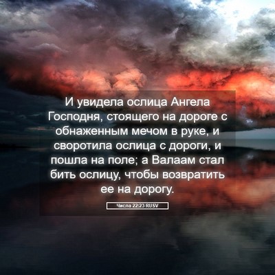 Picture 05 - Числа 22:23 RUSV - И увидела ослица Ангела - Bible Verse Picture