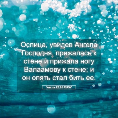 Picture 05 - Числа 22:25 RUSV - Ослица, увидев Ангела - Bible Verse Picture
