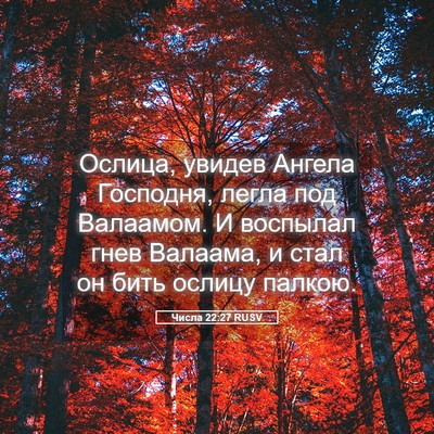 Picture 05 - Числа 22:27 RUSV - Ослица, увидев Ангела - Bible Verse Picture