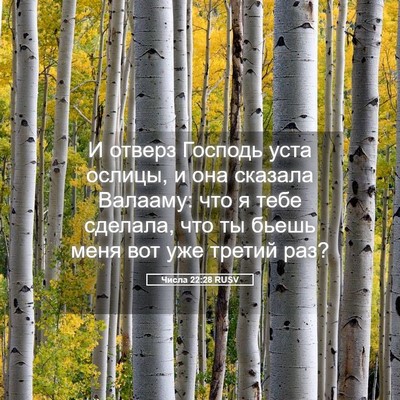 Picture 05 - Числа 22:28 RUSV - И отверз Господь уста - Bible Verse Picture