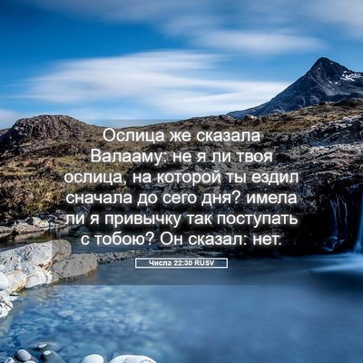 Picture 05 - Числа 22:30 RUSV - Ослица же сказала Валааму: - Bible Verse Picture