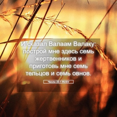 Picture 05 - Числа 23:1 RUSV - И сказал Валаам Валаку: - Bible Verse Picture