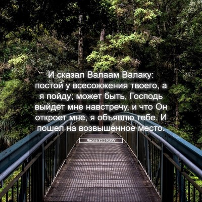 Picture 05 - Числа 23:3 RUSV - И сказал Валаам Валаку: - Bible Verse Picture