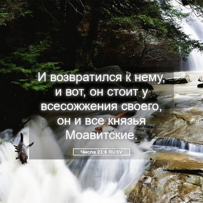 Picture 05 - Числа 23:6 RUSV - И возвратился к нему, и вот, - Bible Verse Picture