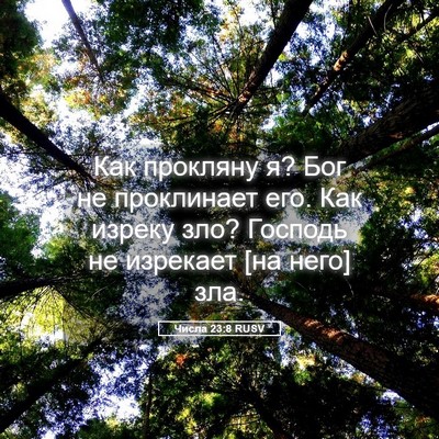 Picture 05 - Числа 23:8 RUSV - Как прокляну я? Бог не - Bible Verse Picture