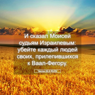 Picture 05 - Числа 25:5 RUSV - И сказал Моисей судьям - Bible Verse Picture