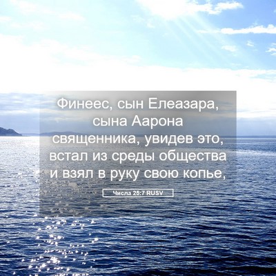 Picture 05 - Числа 25:7 RUSV - Финеес, сын Елеазара, сына - Bible Verse Picture