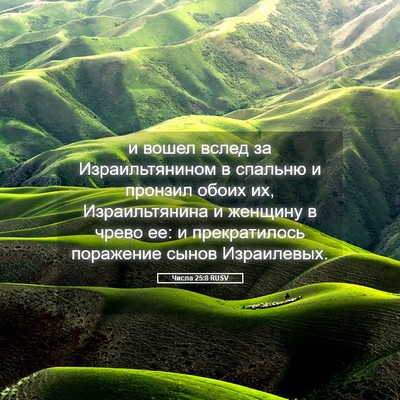 Picture 05 - Числа 25:8 RUSV - и вошел вслед за - Bible Verse Picture
