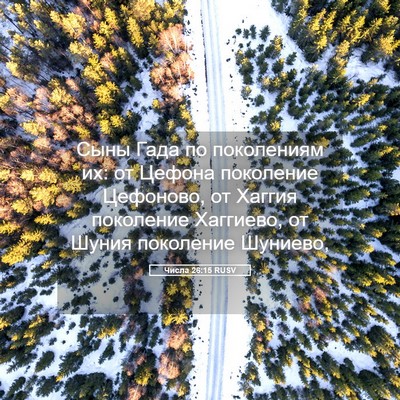 Picture 05 - Числа 26:15 RUSV - Сыны Гада по поколениям их: - Bible Verse Picture