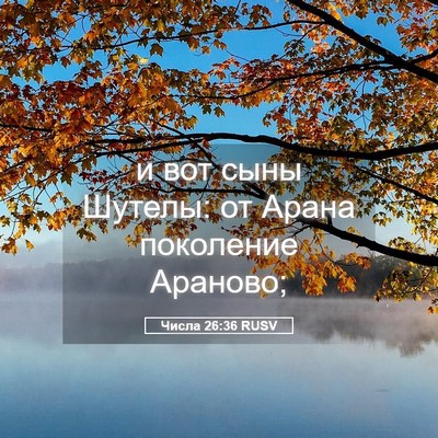 Picture 05 - Числа 26:36 RUSV - и вот сыны Шутелы: от Арана - Bible Verse Picture