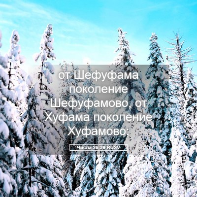 Picture 05 - Числа 26:39 RUSV - от Шефуфама поколение - Bible Verse Picture