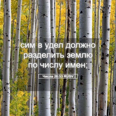 Picture 05 - Числа 26:53 RUSV - сим в удел должно - Bible Verse Picture