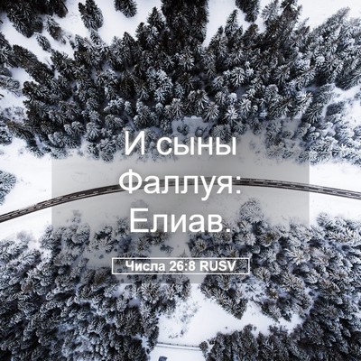 Picture 05 - Числа 26:8 RUSV - И сыны Фаллуя: - Bible Verse Picture