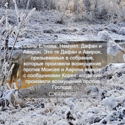 Picture 05 - Числа 26:9 RUSV - Сыны Елиава: Немуил, Дафан - Bible Verse Picture