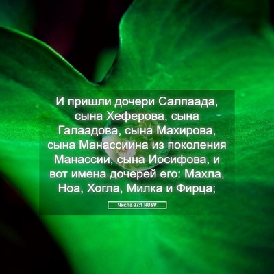 Picture 05 - Числа 27:1 RUSV - И пришли дочери Салпаада, - Bible Verse Picture