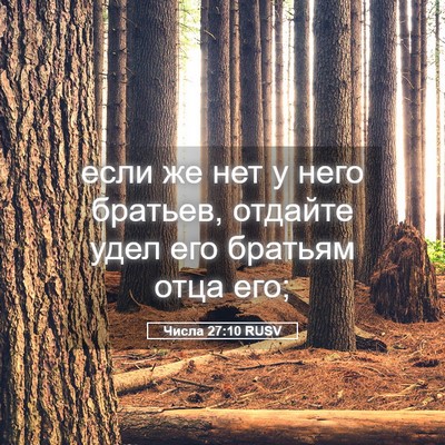 Picture 05 - Числа 27:10 RUSV - если же нет у него братьев, - Bible Verse Picture