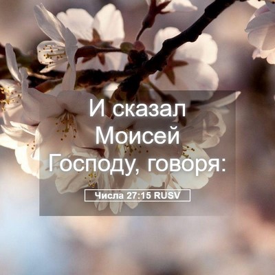 Picture 05 - Числа 27:15 RUSV - И сказал Моисей Господу, - Bible Verse Picture