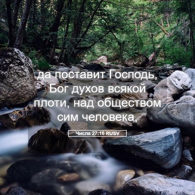 Picture 05 - Числа 27:16 RUSV - да поставит Господь, Бог - Bible Verse Picture