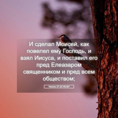 Picture 05 - Числа 27:22 RUSV - И сделал Моисей, как - Bible Verse Picture