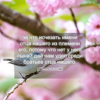 Picture 05 - Числа 27:4 RUSV - за что исчезать имени отца - Bible Verse Picture