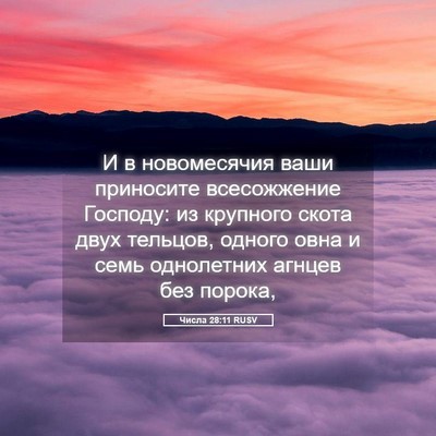 Picture 05 - Числа 28:11 RUSV - И в новомесячия ваши - Bible Verse Picture