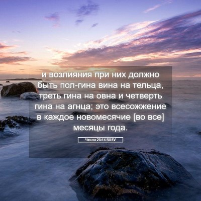 Picture 05 - Числа 28:14 RUSV - и возлияния при них должно - Bible Verse Picture