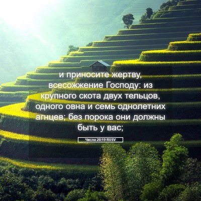Picture 05 - Числа 28:19 RUSV - и приносите жертву, - Bible Verse Picture