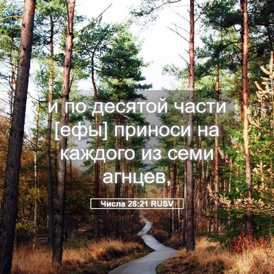Picture 05 - Числа 28:21 RUSV - и по десятой части [ефы] - Bible Verse Picture