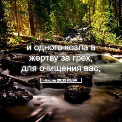 Picture 05 - Числа 28:22 RUSV - и одного козла в жертву за - Bible Verse Picture