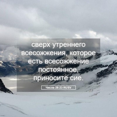 Picture 05 - Числа 28:23 RUSV - сверх утреннего - Bible Verse Picture