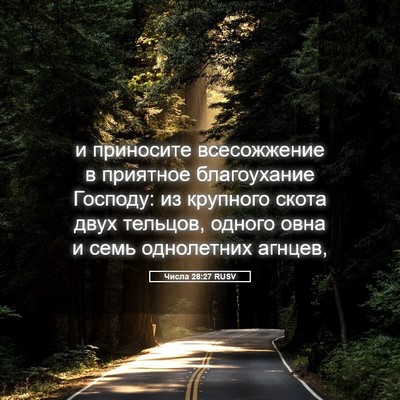 Picture 05 - Числа 28:27 RUSV - и приносите всесожжение в - Bible Verse Picture