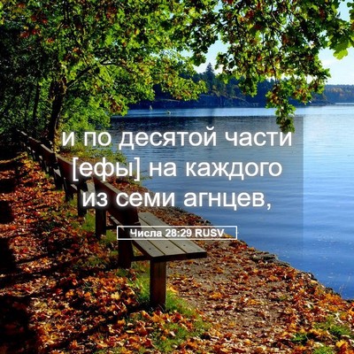 Picture 05 - Числа 28:29 RUSV - и по десятой части [ефы] на - Bible Verse Picture