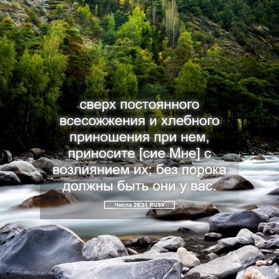 Picture 05 - Числа 28:31 RUSV - сверх постоянного - Bible Verse Picture