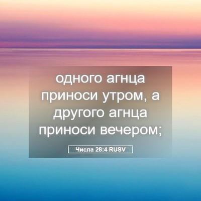 Picture 05 - Числа 28:4 RUSV - одного агнца приноси - Bible Verse Picture