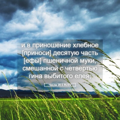 Picture 05 - Числа 28:5 RUSV - и в приношение хлебное - Bible Verse Picture