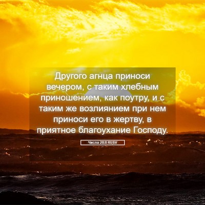Picture 05 - Числа 28:8 RUSV - Другого агнца приноси - Bible Verse Picture