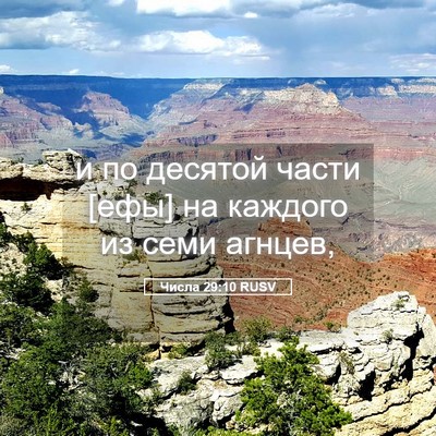 Picture 05 - Числа 29:10 RUSV - и по десятой части [ефы] на - Bible Verse Picture