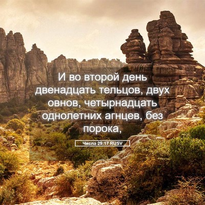 Picture 05 - Числа 29:17 RUSV - И во второй день - Bible Verse Picture