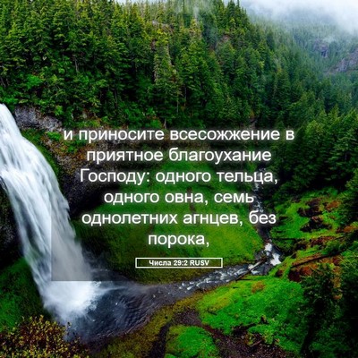 Picture 05 - Числа 29:2 RUSV - и приносите всесожжение в - Bible Verse Picture