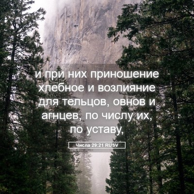 Picture 05 - Числа 29:21 RUSV - и при них приношение - Bible Verse Picture