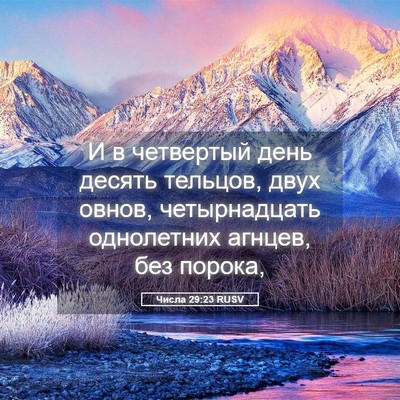 Picture 05 - Числа 29:23 RUSV - И в четвертый день десять - Bible Verse Picture