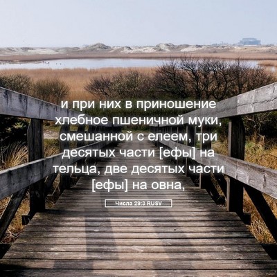 Picture 05 - Числа 29:3 RUSV - и при них в приношение - Bible Verse Picture