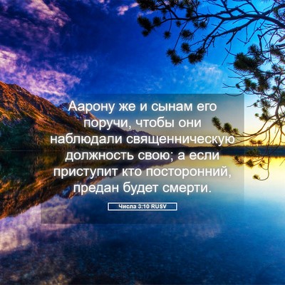 Picture 05 - Числа 3:10 RUSV - Аарону же и сынам его - Bible Verse Picture