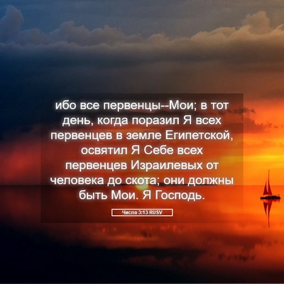 Picture 05 - Числа 3:13 RUSV - ибо все первенцы--Мои; в тот - Bible Verse Picture