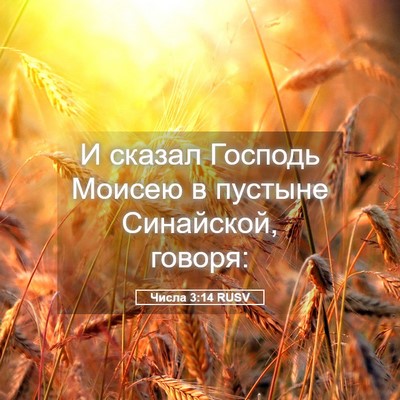Picture 05 - Числа 3:14 RUSV - И сказал Господь Моисею в - Bible Verse Picture
