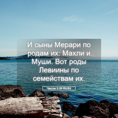 Picture 05 - Числа 3:20 RUSV - И сыны Мерари по родам их: - Bible Verse Picture