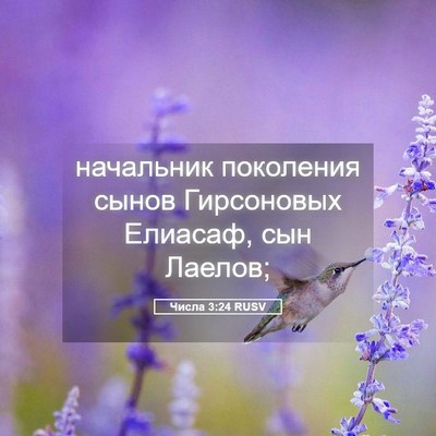 Picture 05 - Числа 3:24 RUSV - начальник поколения сынов - Bible Verse Picture