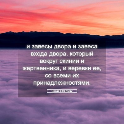 Picture 05 - Числа 3:26 RUSV - и завесы двора и завеса - Bible Verse Picture