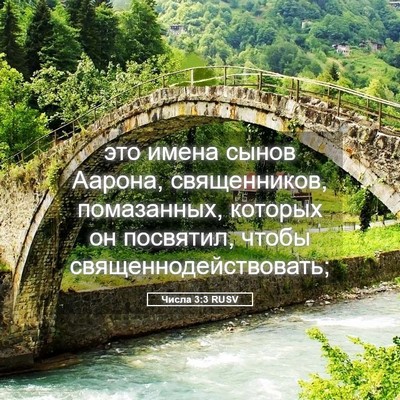 Picture 05 - Числа 3:3 RUSV - это имена сынов Аарона, - Bible Verse Picture
